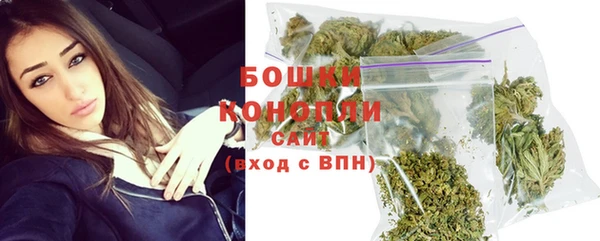 ПСИЛОЦИБИНОВЫЕ ГРИБЫ Чердынь