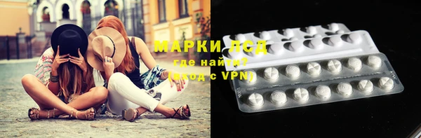 ПСИЛОЦИБИНОВЫЕ ГРИБЫ Чердынь