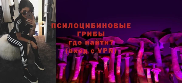 spice Шали