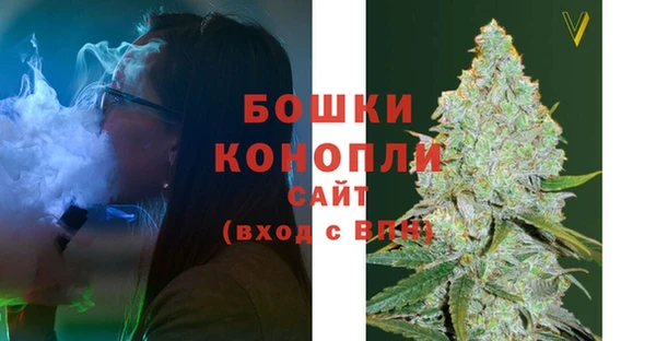 ПСИЛОЦИБИНОВЫЕ ГРИБЫ Чердынь