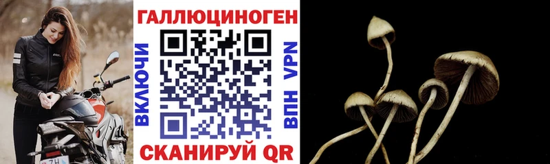 Псилоцибиновые грибы GOLDEN TEACHER Новочебоксарск